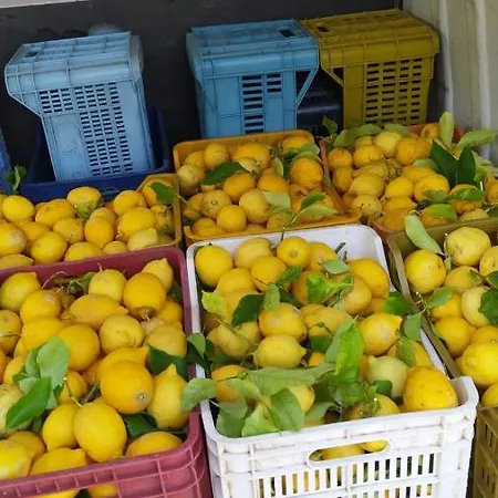 Agri Sosta Camper Sole *