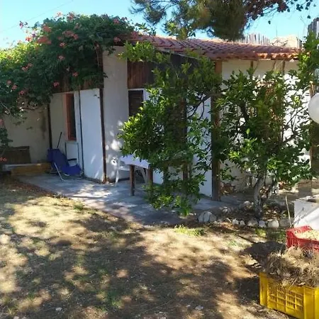 Agri Sosta Camper Sole Rodi Garganico