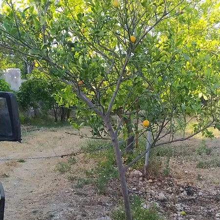 مكان تخييم Agri Sosta Camper Sole *